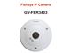 دوربین مداربسته تحت شبکه ژئوویژن تایوان GV-FER3403