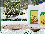 روغن ولک شیماگرو یزد