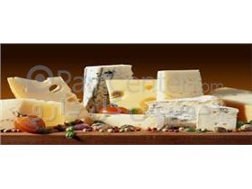 استارتر پنیر (مواد اولیه صنایع غذایی)