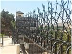 نمونه کار حفاظ شاخ گوزنی جاجرود 2