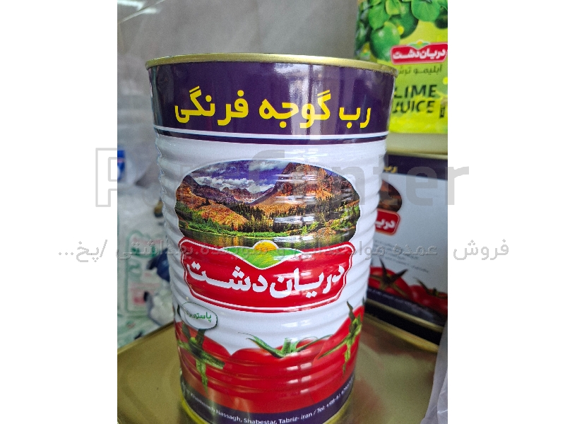 رب گوجه فرنگی حلب 10کیلویی دریان دشت