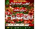 رب گوجه فرنگی حلب 10کیلویی دریان دشت
