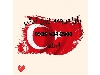 آموزش ترکی استانبولی ترکیه و ترکی آذری بصورت آنلاین با تخفیف ویژه