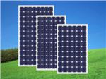 پنل خورشیدی کره ای مونوکریستال 320 وات shinsung