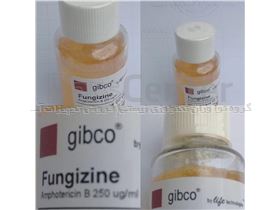 محلول   gibco fungizine