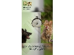 دستگاه التراسونیک فراری دهنده سگ و گربه
