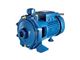 پمپ 2 اسب دو پروانه تکفاز ایمر IMER ساخت چین مدل 2DCM 160/160