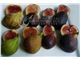 انواع نهال انجیر-Ficus carica