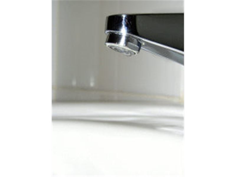 تولیدی شیر رویان