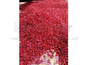 زرشک پفکی