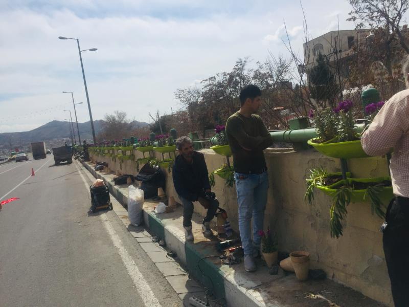 تولید گلدان شهرداری فایبر گلاس گلدان شهری