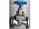 شیرسوزنی(Globe Valve)