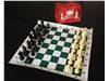 مهره و صفحه شطرنج ، صفحه و مهره شطرنج استاندارد مسابقاتی