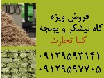 کاه نیشکر و یونجه