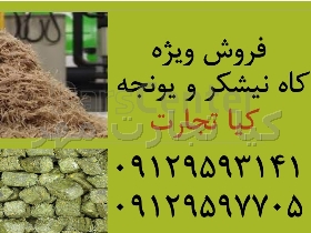 کاه نیشکر و یونجه