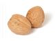 درخت گردو هارتلی-سال 1402 Hartley Walnuts