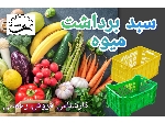 سبد حمل میوه،سبد پلاستیکی در اصفهان/قزوین/همدان/بوشهر/آمل