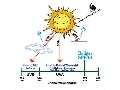 ضد آفتاب و تشعشعات نور خورشید-انواع ضد آفتاب چیست؟