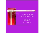 راهبند دژ 800 DEJ