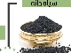 سیاهدانه و تخم خرفه عمده با بهترین کیفیت