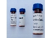 ماده cytochalasin b   1 mgr