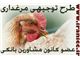 طرح توجیهی کشاورزی و دامپروری طرح توجیهی پرورش مرغ گوشتی و تخمگذار