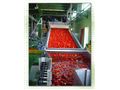 خط کامل تولید رب گوجه فرنگی