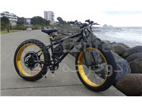 دوچرخه برقی 1000 وات ساحلی