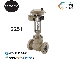 کنترل ولو (شیر کنترلی) مدل 3251