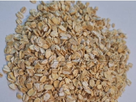 جو پرک و جو دو سر پرک