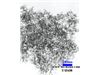 خرید نانو سیلیس فروش انواع نانو مواد نانو ذرات نانو اکسید فلزی نانو سیلیس نانو ذرات با خلوص بالا از امریکا