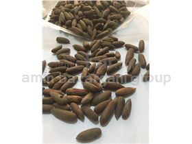 pine nuts export sales