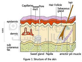 کارگاه های آموزشی مراقبت پوست و مو work shop skin care