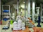 تولید و عرضه انواع برنج آستانه اشرفیه
