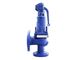 Safety Valve Iran