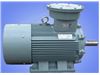 Yb3 Series Explosion-Proof Induction Motor