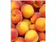 هلو گلدن کوئین#هلو زعفرانی#Golden Queen peach