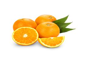 فروش اسانس پرتقال