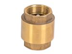 spring check valve