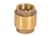 spring check valve