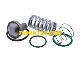 22064695 کیت مینیمم پرشر ولو کمپرسور اینگرسولرند 22064695 Sullair Minimum Pressure Valve Service Kit