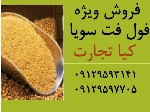 فول فت سویا