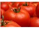 Aseptic Tomato Paste For Export