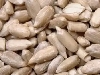 مغز تخمه آفتابگردان تازه خوی، ویژه مصرف روزانه و قنادی و نانوایی