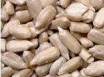 مغز تخمه آفتابگردان تازه خوی، ویژه مصرف روزانه و قنادی و نانوایی