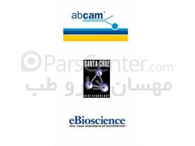 Abcam, Santa Cruz, eBioscience, Molecular probs in Iran