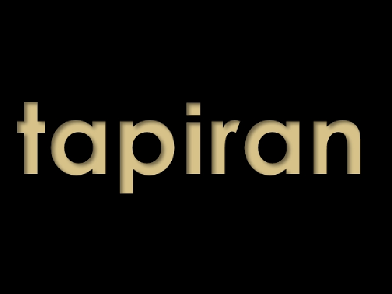 شرکت مهندسی بازرگانی تامین پروژه ایرانیان ( تاپیران )