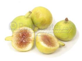 درخت  انجیر زرد- سال 1402 FIGE Yellow