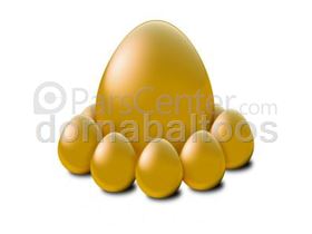 تخم مرغ غنی شده