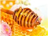 عسل اقاقیا طبیعی و مرغوب